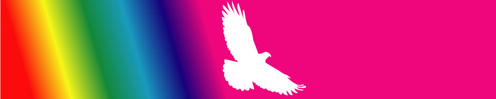 ゲイ、レズビアン、バイセクシャルアメリカへ